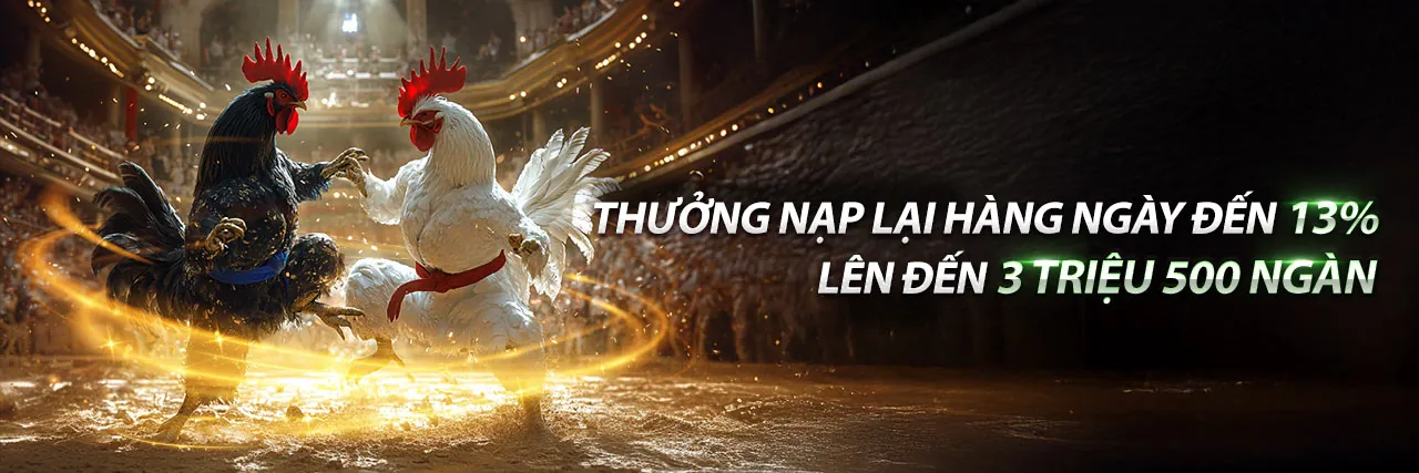 Hình ảnh giới thiệu 68gamebai casino - Nền tảng giải trí trực tuyến hàng đầu